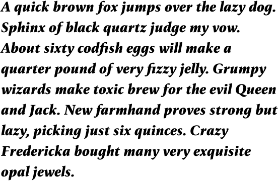FF Reminga Pro Bold Italic