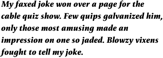 FF Reminga Pro Bold Italic