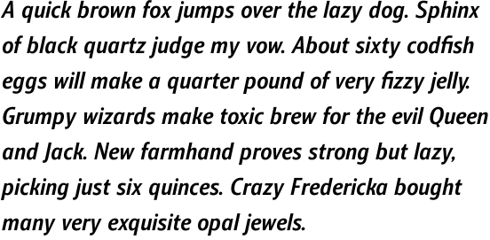 Barnaul Grotesk Bold Italic Cyrillic OT