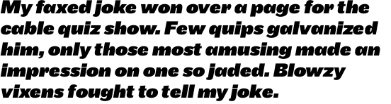 Maple Black Italic OT