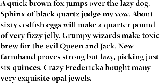 Typonine Stencil Bold Pro OT