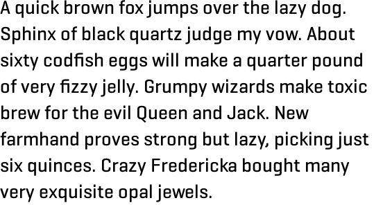 Geogrotesque Medium OT