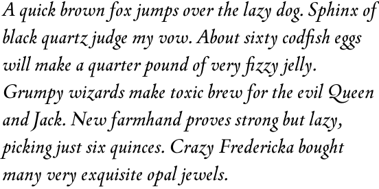 Tycho Pro Book Italic