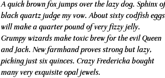 Waldstein Pro Bold Italic