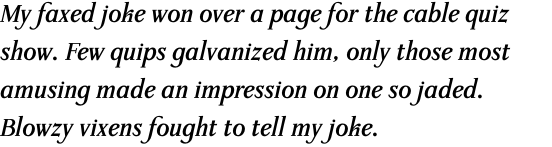Waldstein Pro Bold Italic