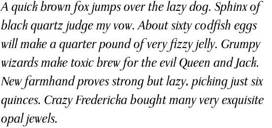 Waldstein Pro Italic