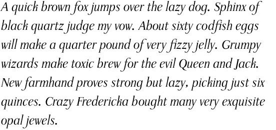 Waldstein Pro Light Italic