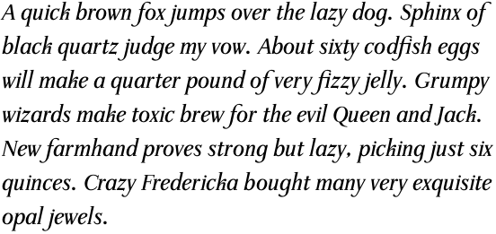 Waldstein Pro Medium Italic