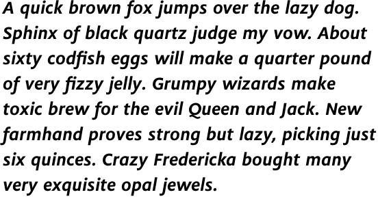 Flex Bold Italic OT