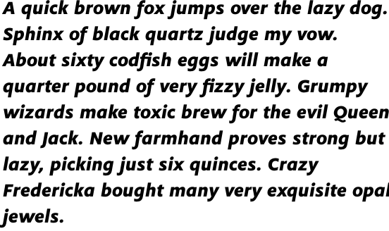 Flex Extra Bold Italic OT