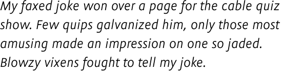 Flex Italic OT