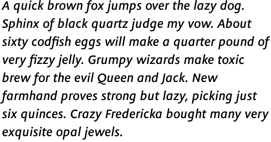 Flex Medium Italic OT