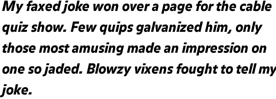 FF Balance Pro Black Italic