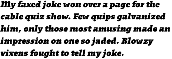 Regime Bold Italic OT