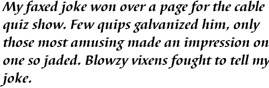 Barbedor Bold Italic OT