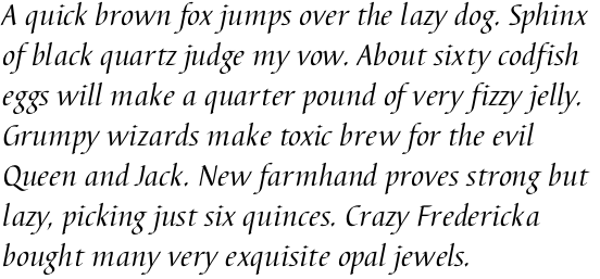 Barbedor Regular Italic OT