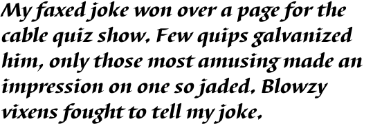 Barbedor Black Italic OT