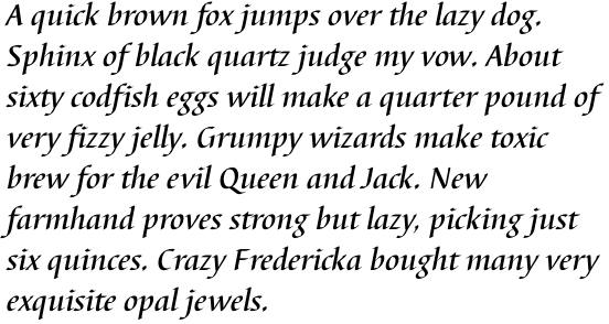 Barbedor Medium Italic OT