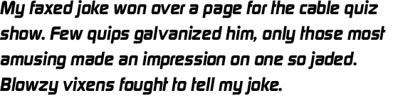 Digital Sans Bold Italic OT