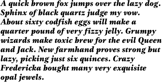 ITC Gamma Black Italic OT