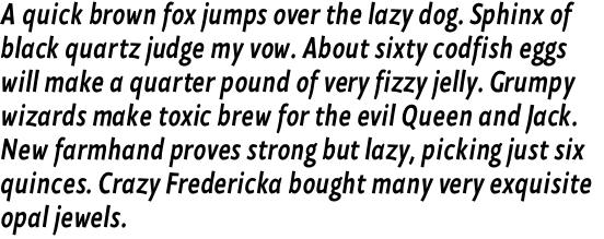 Herbert Regular Italic OT