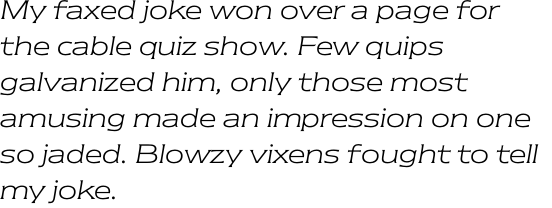 ITC Newtext Light Italic OT