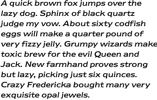 ITC Newtext Regular Italic OT