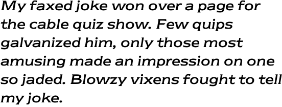 ITC Newtext Regular Italic OT