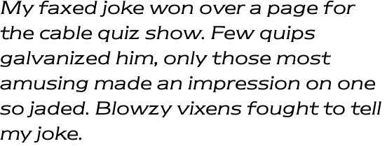 ITC Newtext Book Italic OT