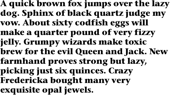 ITC Stone Serif Bold OT