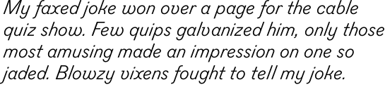 Figgins Sans Italic