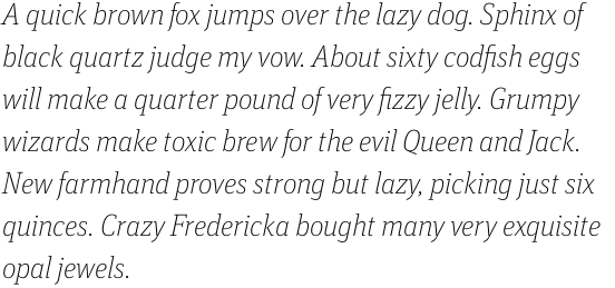FF Unit Slab Pro Thin Italic