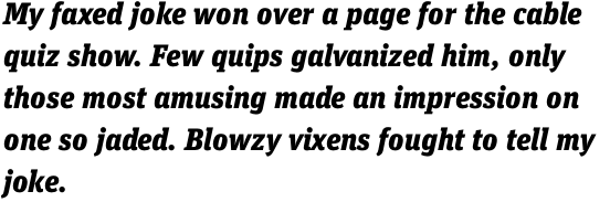 FF Unit Slab Pro Black Italic