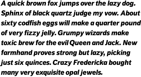 FF Dagny Pro Black Italic