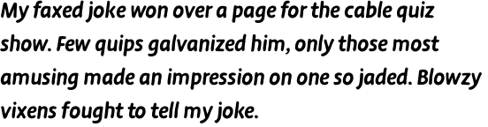 FF Duper Pro Bold Italic