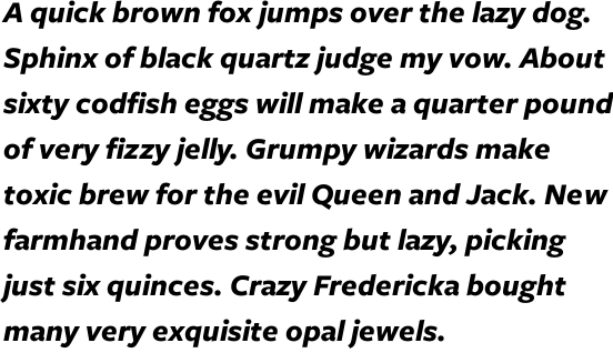 Freight Sans Pro Bold Italic OT