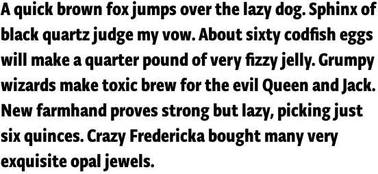 Typonine Sans Condensed Bold Pro OT