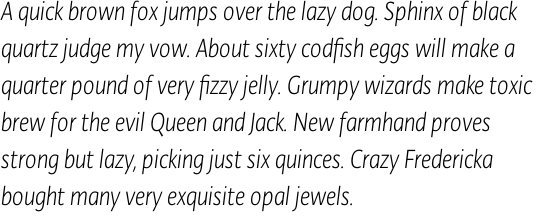 Typonine Sans Condensed Light Italic Pro OT
