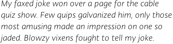 Typonine Sans Light Italic Pro OT