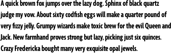 Agenda Extra Condensed Bold OT