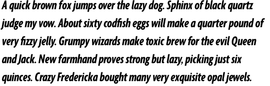 Agenda Extra Condensed Bold Italic OT
