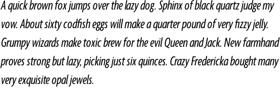Agenda Extra Condensed Regular Italic OT