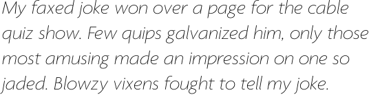 Agenda Thin Italic OT