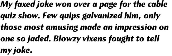 Amira Black Italic OT