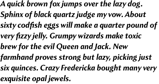 Amira Bold Italic OT