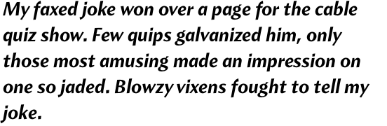 Amira Bold Italic OT