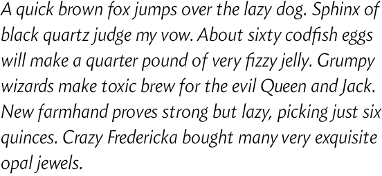 Amira Light Italic OT
