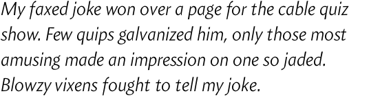 Amira Light Italic OT