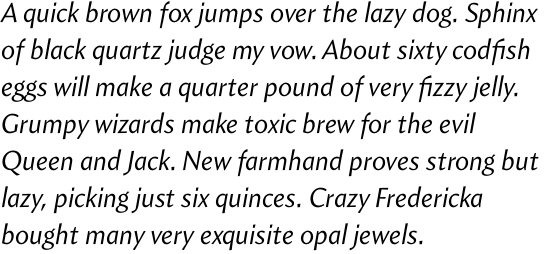 Amira Regular Italic OT