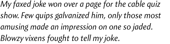 Amira Regular Italic OT